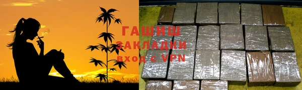 гашиш Богданович