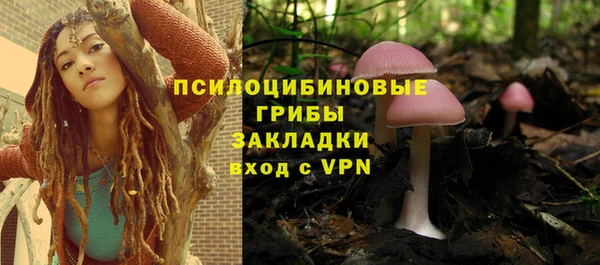 гашиш Богданович