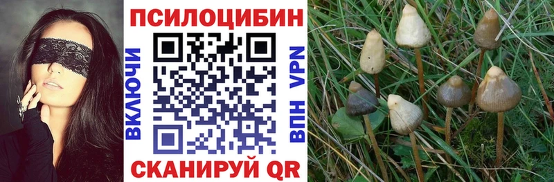 Галлюциногенные грибы ЛСД  Купить где  Моздок 